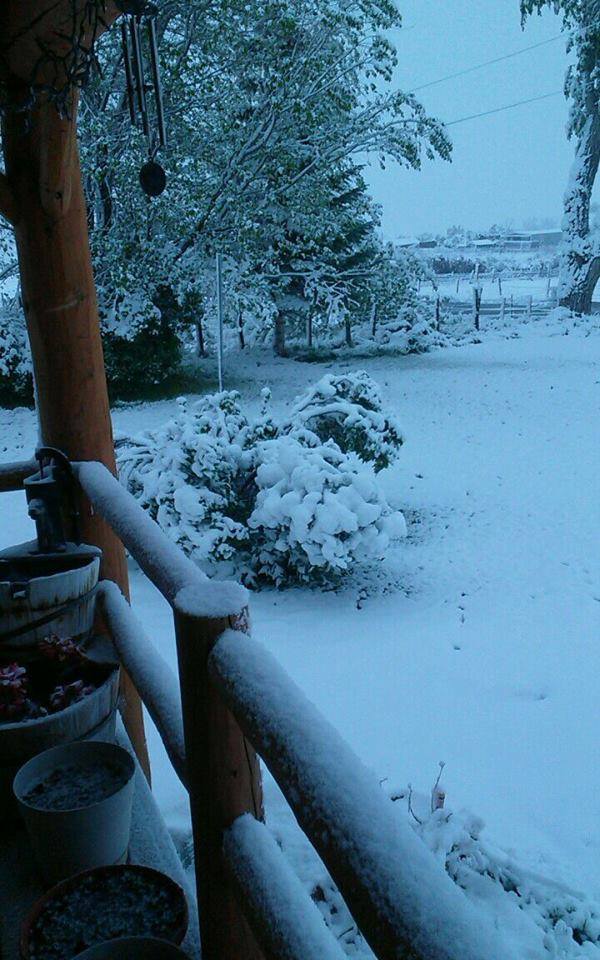 Collbran, CO